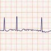 ヒメ日記 2025/09/16 19:19 投稿 飯田　まりえ イラマチーオ新宿店