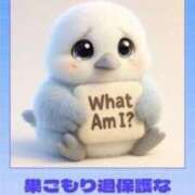 ヒメ日記 2026/02/02 17:39 投稿 飯田　まりえ イラマチーオ新宿店