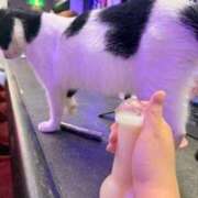 ヒメ日記 2026/02/07 12:19 投稿 飯田　まりえ イラマチーオ新宿店