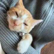 ヒメ日記 2025/10/09 17:39 投稿 飯田　まりえ SM東京　新宿店