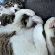 ヒメ日記 2025/11/25 14:49 投稿 飯田　まりえ SM東京　新宿店