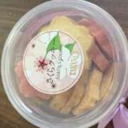 ヒメ日記 2026/03/21 19:49 投稿 飯田　まりえ SM東京　新宿店