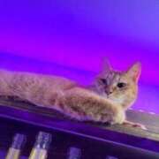 ヒメ日記 2026/03/26 20:29 投稿 飯田　まりえ SM東京　新宿店