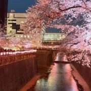 ヒメ日記 2026/04/02 14:49 投稿 飯田　まりえ SM東京　新宿店