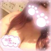 ヒメ日記 2025/08/19 19:12 投稿 うゆ ちゃんこ藤沢茅ヶ崎店