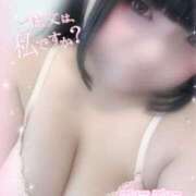 ヒメ日記 2025/12/11 17:12 投稿 うゆ ちゃんこ藤沢茅ヶ崎店