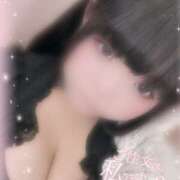 ヒメ日記 2025/12/15 16:52 投稿 うゆ ちゃんこ藤沢茅ヶ崎店