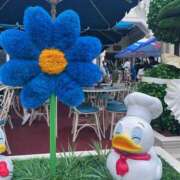 ヒメ日記 2025/05/31 19:15 投稿 キアラ 上野ハンドメイド