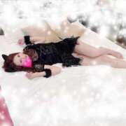 ヒメ日記 2025/10/12 06:21 投稿 なつは クラブレア南大阪