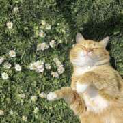 ヒメ日記 2026/01/17 19:21 投稿 こなつ クラブレア南大阪