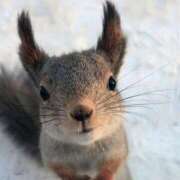 ヒメ日記 2026/01/24 16:41 投稿 こなつ クラブレア南大阪