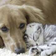 ヒメ日記 2026/01/25 21:31 投稿 こなつ クラブレア南大阪