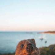 ヒメ日記 2026/01/30 22:31 投稿 こなつ クラブレア南大阪