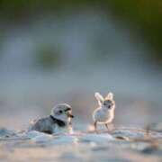 こなつ 3時まで🫶 クラブレア南大阪