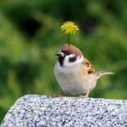 こなつ 22時まで🥰 クラブレア南大阪