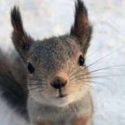 ヒメ日記 2026/02/27 21:31 投稿 こなつ クラブレア南大阪