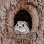 ヒメ日記 2026/02/28 20:31 投稿 こなつ クラブレア南大阪