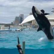 ヒメ日記 2025/06/17 15:41 投稿 みつ MIKADO