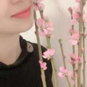 ヒメ日記 2026/03/18 17:16 投稿 みつ MIKADO