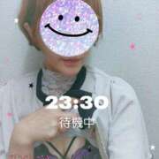 ヒメ日記 2026/08/12 23:33 投稿 森田 ほなみ 神戸RED DRAGON
