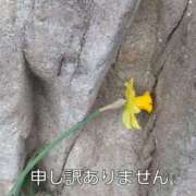 ヒメ日記 2025/05/29 09:18 投稿 佐野久美子 五十路マダム　広島店