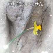 ヒメ日記 2025/08/22 12:40 投稿 佐野久美子 五十路マダム　広島店