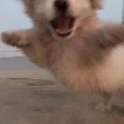 ヒメ日記 2025/12/04 21:29 投稿 めい 神田はっち