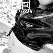 ヒメ日記 2025/10/08 10:34 投稿 太鳳（たお） 京都痴女性感フェチ倶楽部