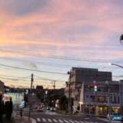 ヒメ日記 2025/10/04 08:04 投稿 雪/ゆき 贅沢なひと時