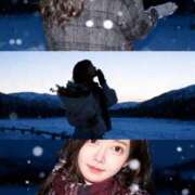 ヒメ日記 2025/11/08 22:40 投稿 雪/ゆき 贅沢なひと時