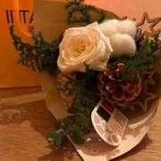 ヒメ日記 2025/12/29 08:51 投稿 雪/ゆき 贅沢なひと時