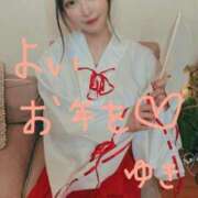 ヒメ日記 2025/12/31 16:27 投稿 雪/ゆき 贅沢なひと時