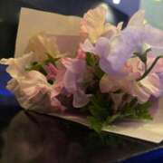 ヒメ日記 2026/01/24 23:45 投稿 雪/ゆき 贅沢なひと時