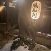 ヒメ日記 2026/02/23 07:56 投稿 雪/ゆき 贅沢なひと時