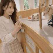 ヒメ日記 2026/03/05 03:34 投稿 雪/ゆき 贅沢なひと時