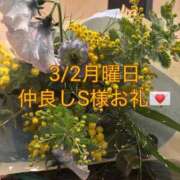 ヒメ日記 2026/03/08 01:09 投稿 雪/ゆき 贅沢なひと時