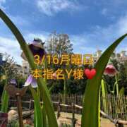 ヒメ日記 2026/03/29 23:06 投稿 雪/ゆき 贅沢なひと時