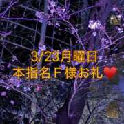 ヒメ日記 2026/03/31 12:47 投稿 雪/ゆき 贅沢なひと時