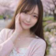 ヒメ日記 2026/04/03 12:37 投稿 雪/ゆき 贅沢なひと時