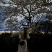 ヒメ日記 2026/04/04 23:18 投稿 雪/ゆき 贅沢なひと時