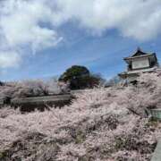 ヒメ日記 2026/04/05 12:56 投稿 雪/ゆき 贅沢なひと時