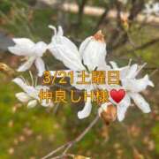 ヒメ日記 2026/04/09 19:01 投稿 雪/ゆき 贅沢なひと時
