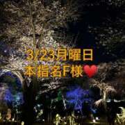ヒメ日記 2026/04/11 00:09 投稿 雪/ゆき 贅沢なひと時