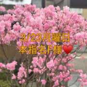 ヒメ日記 2026/04/13 23:36 投稿 雪/ゆき 贅沢なひと時