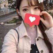 ヒメ日記 2026/04/14 07:53 投稿 雪/ゆき 贅沢なひと時