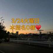 ヒメ日記 2026/04/17 01:36 投稿 雪/ゆき 贅沢なひと時