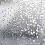 ヒメ日記 2025/06/03 17:41 投稿 もとこ 11チャンネル