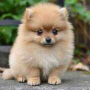 ヒメ日記 2025/06/06 22:00 投稿 もとこ 11チャンネル