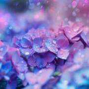 ヒメ日記 2025/06/08 21:34 投稿 もとこ 11チャンネル