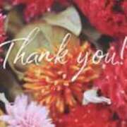 ヒメ日記 2025/06/25 14:41 投稿 もとこ 11チャンネル